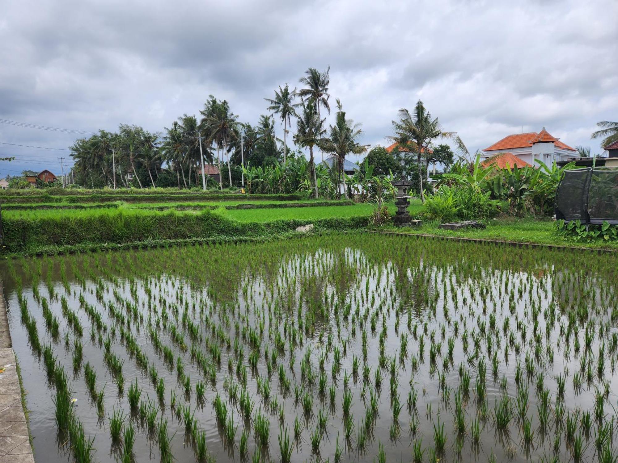 Villa Lanus Ubud  Exterior photo